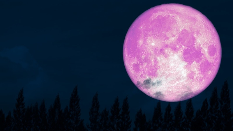 Ông Đặng Vũ Tuấn Sơn, Hội Thiên văn và Vũ trụ học Việt Nam cho hay hiện tượng "trăng hồng" diễn ra khi Mặt trăng di chuyển đến phía đối diện với Trái đất (Trái đất nằm giữa Mặt trăng và Mặt trời). Khi đó, Mặt trăng lớn và sáng hơn bình thường.