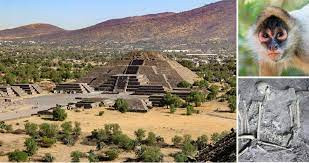 Khi khai quật ngôi mộ trên, các chuyên gia tìm thấy vô số báu vật bao gồm nhiều hiện vật bằng đá quý, vỏ ốc xà cừ và hơn 14.000 mảnh gốm cổ.