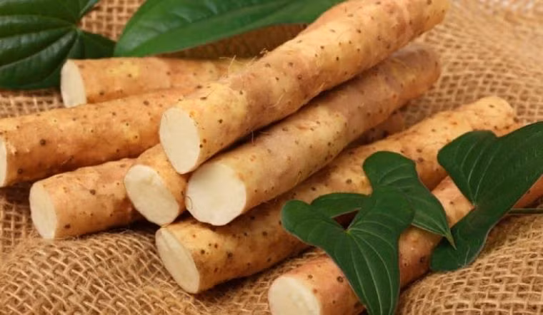 Theo các nhà nghiên cứu, củ mài giàu allantoin - chất có khả năng hỗ trợ rút ngắn thời gian lành vết thương và thúc đẩy sự phát triển của các mô khỏe mạnh.