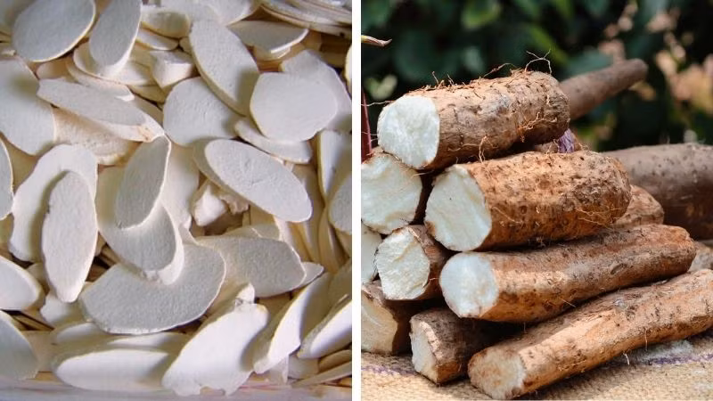 Củ mài có lớp vỏ ngoài màu nâu xám nhưng bên trong có màu trắng.