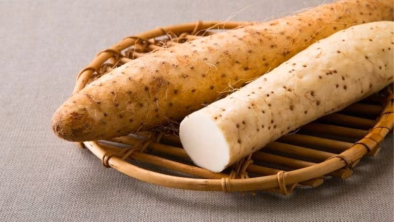 Tại một số quốc gia châu Á, củ mài hay còn gọi khoai mài là loại củ xấu xí, có màu nâu. Không chỉ có giá trị dinh dưỡng cao với hàm lượng tinh bột lớn, loại củ nà còn là một vị thuốc quý.