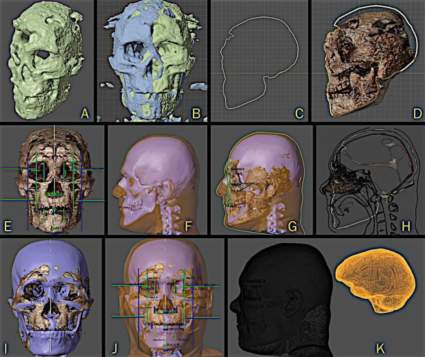 Các nhà nghiên cứu hy vọng việc phục dựng gương mặt của người đàn ông sống ở Ai Cập vào khoảng 30.000 năm trước sẽ có thể giúp giải mã quá trình tiến hóa của loài người.