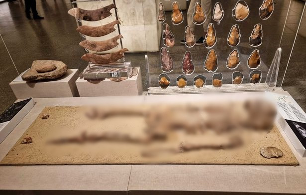 Người đàn ông này cao khoảng 1,6m và là người gốc Phi. Với niên đại khoảng 30.000 năm tuổi, đâu là mộ bài cốt Homo sapiens lâu đời nhất được tìm thấy ở Ai Cập. Đây cũng là một trong những bộ hài cốt "già nhất" thế giới từng được tìm thấy cho đến nay.