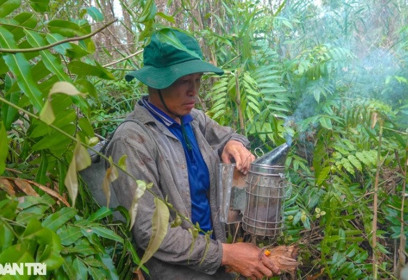 Nhung “nguoi nhen” du cay, bang rung san ong khung-Hinh-3