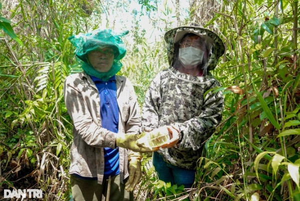 Nhung “nguoi nhen” du cay, bang rung san ong khung-Hinh-4