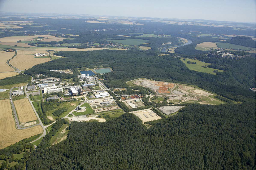 Những sinh vật ưa axit, tạo ra năng lượng bằng cách ăn nguồn dự trữ sắt và lưu huỳnh dồi dào của mỏ. Cứ như vậy, các dạng sống tồn tại và phát triển trong mỏ uranium Königstein bỏ hoang suốt thời gian qua.