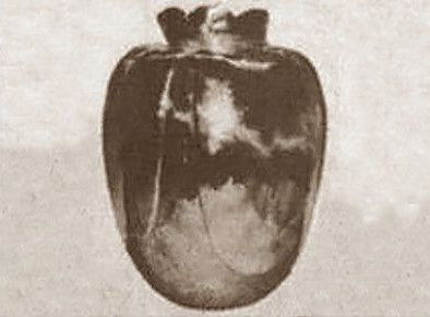 Bình hoa Basano có niên đại vào thế kỷ 15 và có nguồn gốc từ Italy. Cổ vật này được tìm thấy vào năm 1988. Nhiều người cứ ngỡ đây là món đồ cổ quý giá nhưng không thể ngờ rằng nó lại mang "lời nguyền" nguy hiểm.