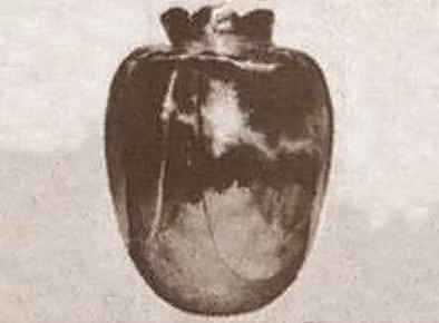 Bình hoa Basano có niên đại vào thế kỷ 15 và có nguồn gốc từ Italy. Cổ vật này được tìm thấy vào năm 1988. Nhiều người cứ ngỡ đây là món đồ cổ quý giá nhưng không thể ngờ rằng nó lại mang "lời nguyền" nguy hiểm.