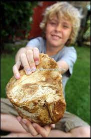 Để chắc chắn, bố của Charlie là Alex đã liên hệ với cơ quan chức năng để giúp kiểm tra xem tảng đá lạ đó có thực sự là long diên hương hay không.