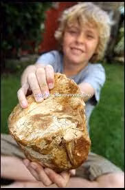 Để chắc chắn, bố của Charlie là Alex đã liên hệ với cơ quan chức năng để giúp kiểm tra xem tảng đá lạ đó có thực sự là long diên hương hay không.