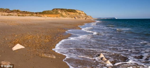 Tuy nhiên, các chuyên gia cho rằng, việc tìm thấy những tảng đá long diên khác trong cùng khu vực là điều rất khó có thể xảy ra.