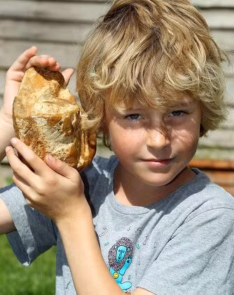 "Thằng bé rất yêu thiên nhiên và thực sự quan tâm tới thứ đã tìm thấy. Chúng tôi đã phát hiện ra rằng thứ này khá hiếm và đang chờ thêm thông tin từ một số chuyên gia sinh học biển", ông Alex nói.