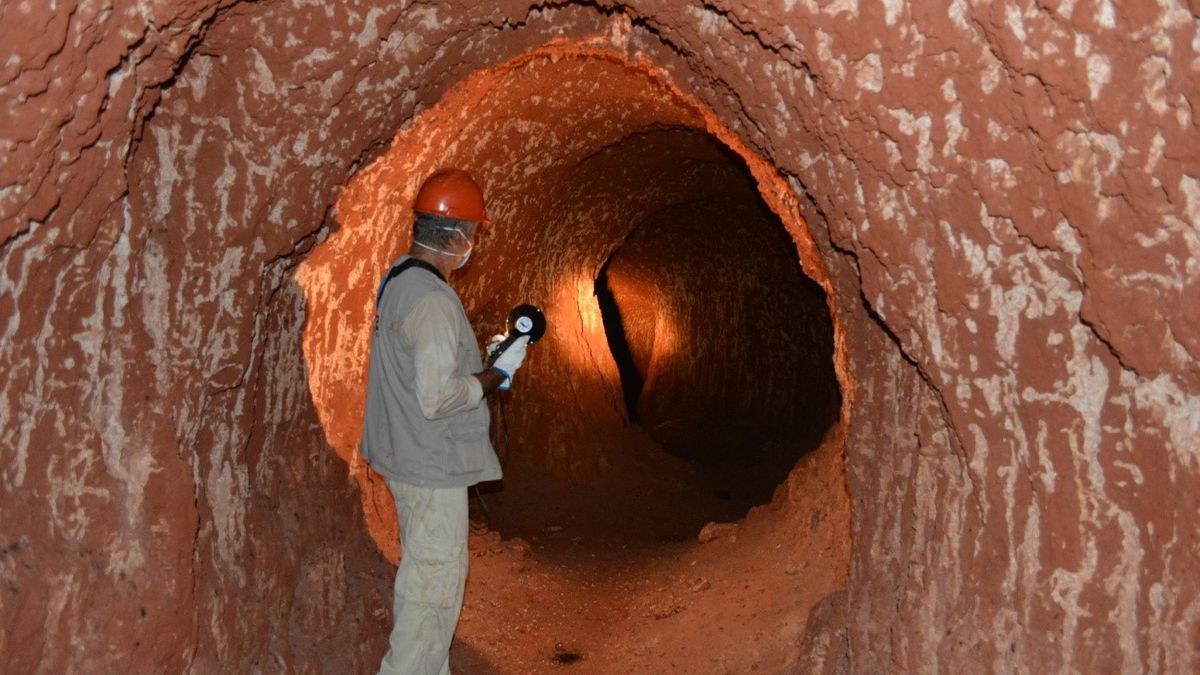 Lười đất khổng lồ là một trong số những loài động vật có vú trên cạn lớn nhất trên Trái đất. Mỗi cá thể khi trưởng thành có chiều cao trung bình khoảng 5,5m và có thể đứng bằng 2 chân khi cần. Nó có bộ móng vuốt lớn, dài hơn 40cm và rất cứng.