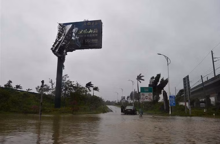 Gió giật khi bão về.