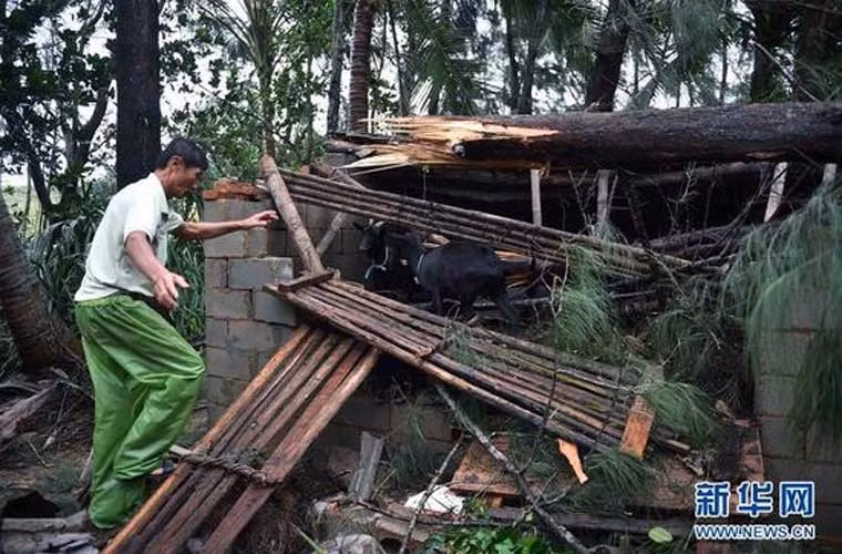 Nhà của người dân cũng bị hư hại sau trận bão thứ 21 đổ bộ Trung Quốc trong năm nay.