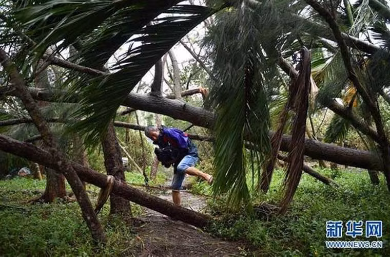 Cây đổ ngang, chắn đường đi ở Hải Nam.