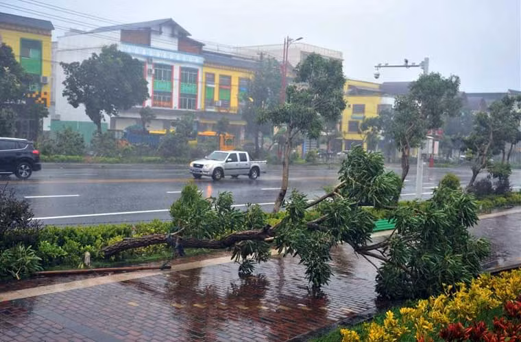 Mưa to kèm gió lớn do siêu bão Sarika gây ra.