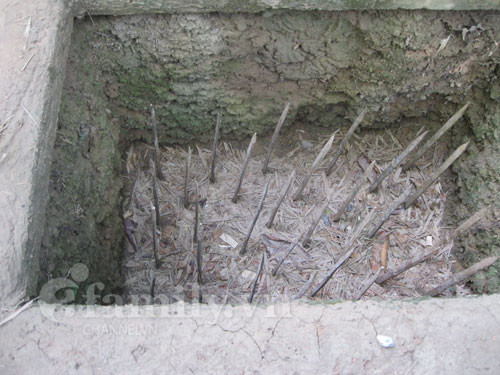 Sau này, khi trình độ kỹ thuật cao hơn, du kích Quân Giải phóng đã thay vì sử dụng các cọc tre vót nhọn thì chuyển sang dùng các cây đinh sắt. Đặc điểm của đinh sắt là cứng hơn rất nhiều so với cọc tre, có thể đâm xuyên qua cả các loại boost da chống gai của kẻ địch. Một khi quân thù đã lọt chân xuống bẫy, có thể sẽ bị đinh sắt cắm xuyên qua bàn chân hoặc thậm chí là cắm qua mắt cá, gây thương tật vĩnh viễn. Ảnh: Một bẫy chông điển hình trong kháng chiến chống Mỹ.