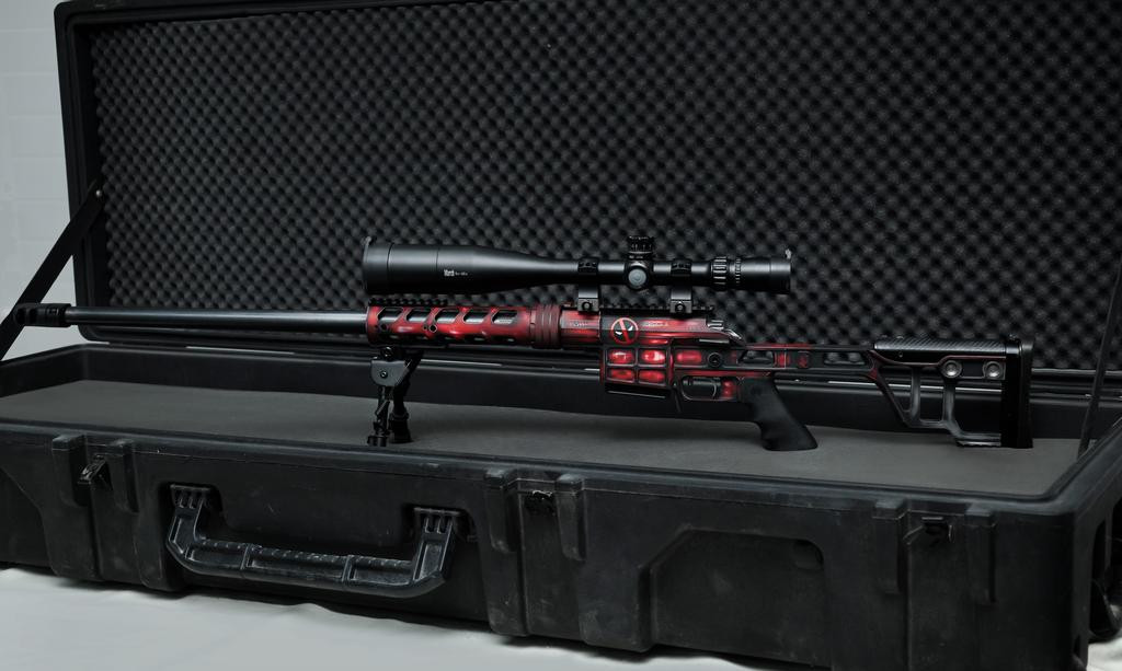 DVL-10M3 là loại súng trường bắn tỉa đa cỡ nòng, mới được phát triển bởi Lobaev Arms và được giới thiệu bởi công ty xuất khẩu vũ khí nhà nước Rosoboronexport của Nga, tại Triển lãm An ninh Nội địa Quốc tế Interpolitex-2020 diễn ra từ ngày 20-23/10 ở Moscow.