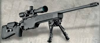 Khẩu súng bắn tỉa đứng thứ 8 trong top 10 là khẩu SIG SSG 3000 đến từ liên doanh Đức/Thụy Sĩ; súng được thiết kế cho đặc biệt cho các lực lượng thực thi pháp luật và quân đội. SSG 3000 được sản xuất ở Đức và được sử dụng rộng rãi ở Châu Âu và Mỹ, cũng như các đơn vị lực lượng đặc biệt từ khắp nơi trên thế giới.