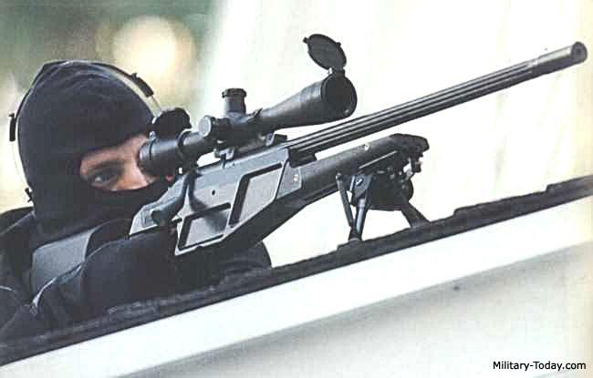 Blaser R93 Tactical có chiều dài nòng 600 mm, ngoài ra còn có một phiên bản với nòng dài 762 mm, việc thay thế nòng của Blaser R93 Tactical trong vòng 60 giây. Súng sử dụng hộp tiếp đạn 5 viên có thể tháo rời; R93 Tactical có độ chính xác rất cao, độ lệch dưới 0,25 MOA; tầm bắn hiệu quả khoảng 800 mét.