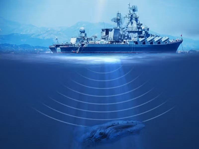 Nếu các hệ thống sonar tìm thấy dấu vết của một tàu ngầm hạt nhân bị nghi ngờ, thì máy bay tuần tra chống ngầm, hoặc trực thăng chống ngầm cũng có thể được sử dụng để thả phao sonar.