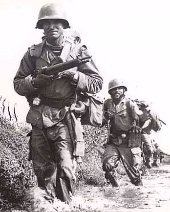 Mặc dù thực tế là quân đội Pháp đã thất bại thảm hại trước Quân đội Đức quốc xã hùng mạnh vào đầu mùa hè năm 1940, nhưng trên thực tế, khẩu súng trường MAS 36 được giới quân sự đánh giá là một trong những khẩu súng trường có uy lực mạnh nhất thế giới.