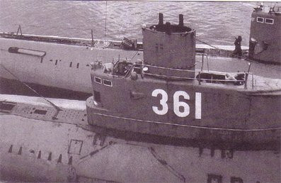 Do không được minh bạch thông tin, đã dẫn đến nhiều giả thuyết khác nhau trong nhiều năm. Nghi ngờ lớn nhất là tại sao biên chế tối đa thủy thủ đoàn của tàu ngầm Type 035G từ 55 đến 57 thủy thủ, nhưng trên tàu 361 khi gặp nạn, có đến 70 người.