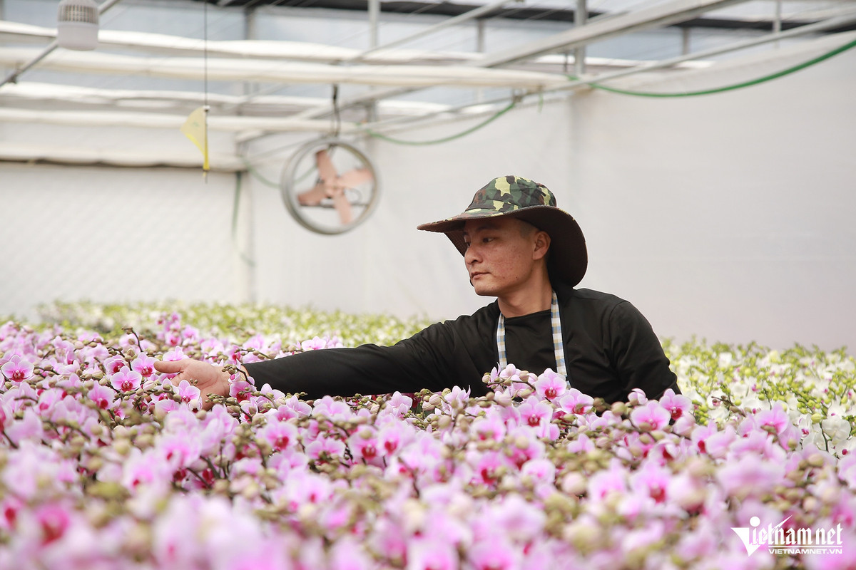 “Bi kip” trong lan tren dat cat ra hoa dung vu kiem bon tien-Hinh-4