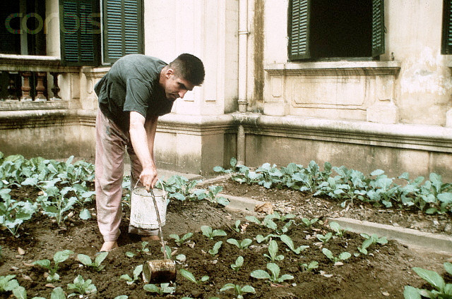 Ngoài việc được cung cấp đồ ăn theo khẩu phần rất cao, các phi công Mỹ còn được tạo điều kiện tăng gia sản xuất, thể dục thể thao để thoải mái về tâm lý. Nguồn ảnh: TL.
