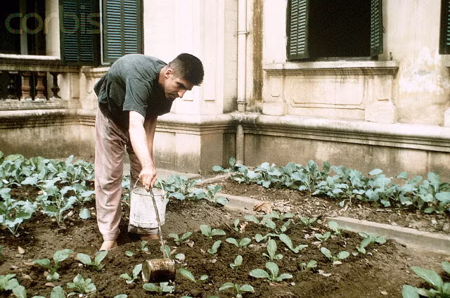 Ngoài việc được cung cấp đồ ăn theo khẩu phần rất cao, các phi công Mỹ còn được tạo điều kiện tăng gia sản xuất, thể dục thể thao để thoải mái về tâm lý. Nguồn ảnh: TL.