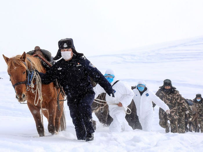 Trong trường hợp đoàn tuần tra bị kẹt lại giữa núi rừng do điều kiện thời tiết khắc nghiệt, ngựa khi đó sẽ trở thành thực phẩm dự trữ cho cả đoàn "câu giờ" chờ tiếp tế. Nguồn ảnh: Sina.