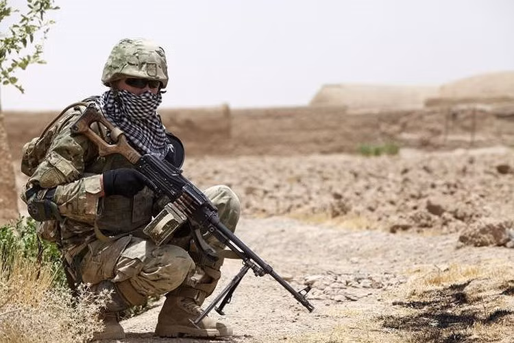 National Interest cũng chỉ ra rằng PKM phổ biến trong các đồng minh của Hoa Kỳ. Uy lực mạnh, dễ sử dụng, cùng khả năng hoạt động bền bỉ khiến cho dòng súng máy này đặc biệt được yêu thích trên chiến trường.