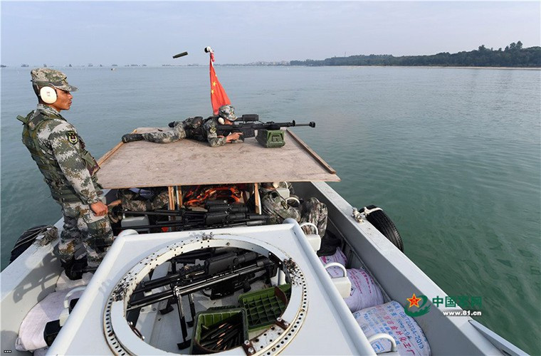 Theo thiết kế, súng bắn tỉa QBU-10 được sử dụng để tiêu diệt nhiều loại mục tiêu khác nhau trong phạm vi 1.000m như bộ binh, xe bọc thép hạng nhẹ, công sự phòng thủ cho đến cả mục tiêu bay tầm thấp.