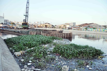 Rác rưởi, lục bình, cây dại đầy mặt sông.