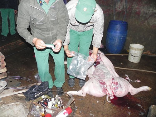 Thịt lọn tiem thuóc ngủ, an vào dẽ than kinh, muc xuong