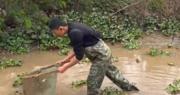 Cam dong em trai di lam nuoi 2 chi gai hoc dai hoc