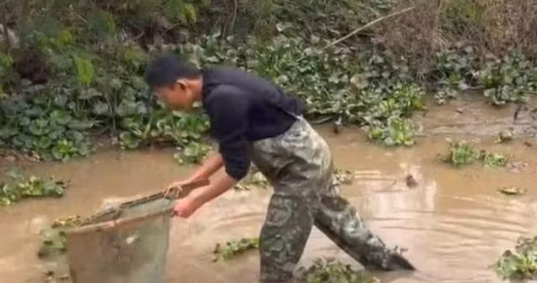 Cam dong em trai di lam nuoi 2 chi gai hoc dai hoc