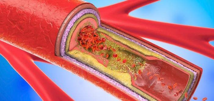 Nguoi co mach mau khoe, ngon tay lo ro 3 bieu hien