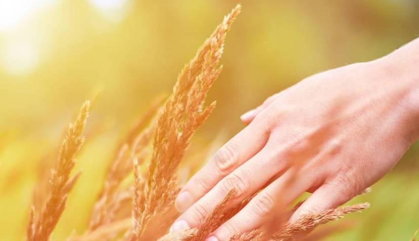 Nguoi co mach mau khoe, ngon tay lo ro 3 bieu hien-Hinh-3