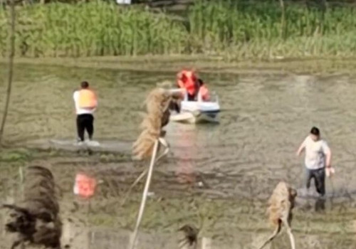 Con choi dua roi xuong nuoc, bo xuong cuu gap nan thuong tam