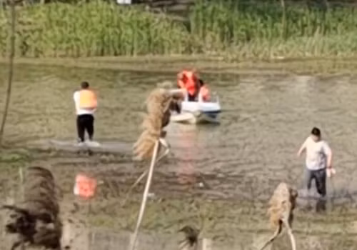 Con choi dua roi xuong nuoc, bo xuong cuu gap nan thuong tam