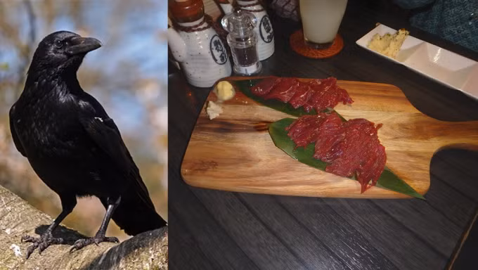 Mới đây, truyền thông Nhật Bản đưa tin, người dân địa phương ở tỉnh Ibaraki đã hình thành thói quen ăn món " sashimi thịt quạ". Tin tức sau khi được đăng tải đã gây ra tranh cãi lớn. (Nguồn ảnh: ET)