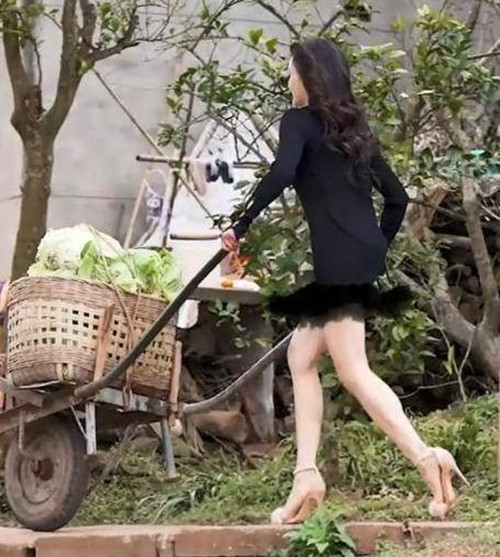 Có rất nhiều bức ảnh về chủ đề này, có những cô gái hiện đại mặc váy lụa đen, có những người đẹp cổ điển với sườn xám bó sát.