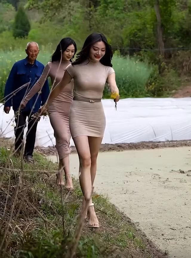 Cũng do trào lưu này, gần đây, nhiều thuật ngữ mới như "Điền viện", "Nông viện" đã xuất hiện.