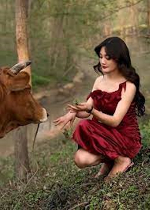 Họ cho rằng chỉ vì muốn được nổi tiếng, nhiều người biết đến, các hot girl này bất chấp tất cả, hạ thấp hình ảnh của bản thân, khiến mọi thứ trở nên tương phản một cách thô tục.