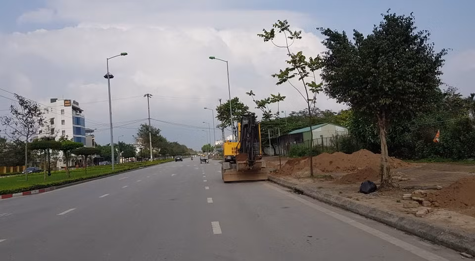 Tất cả các cây cũ đều bị đánh đi nơi khác.