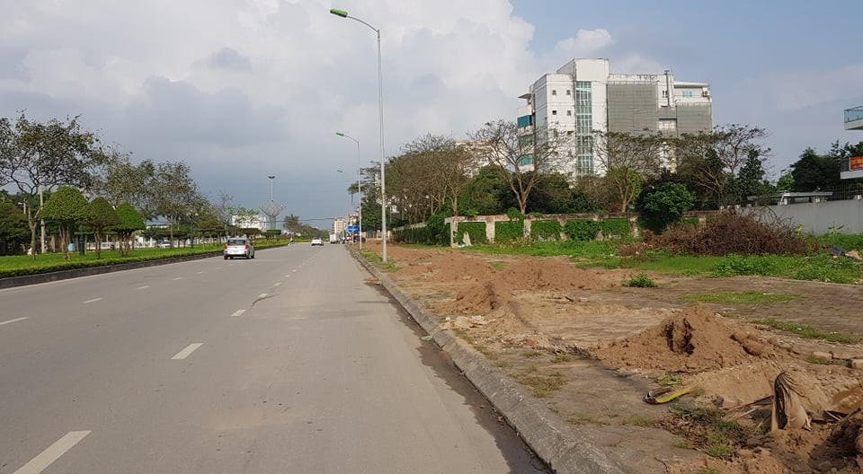 Khi những cây mới trồng chưa thể ra tán.