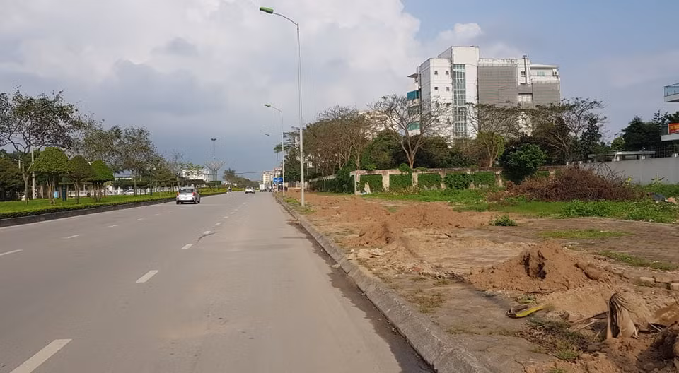 Khi những cây mới trồng chưa thể ra tán.