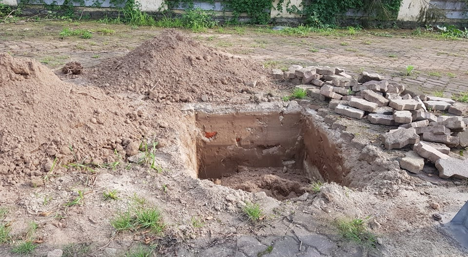 Những hố đào để trồng cây thay thế những cây cũ bị đánh đi.